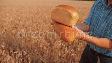 <strong>老农</strong>夫面包师拿着一个金色的面包和面包在麦田对抗蓝天。 慢生活方式视频